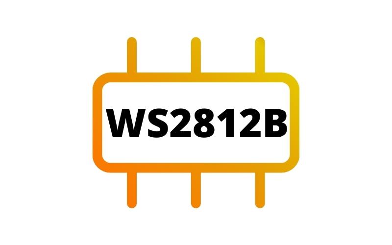 WS2812b